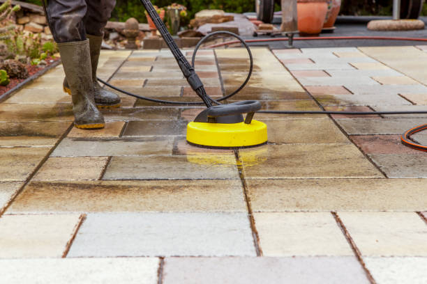 Best Playground Equipment Cleaning  in Elgin, MN