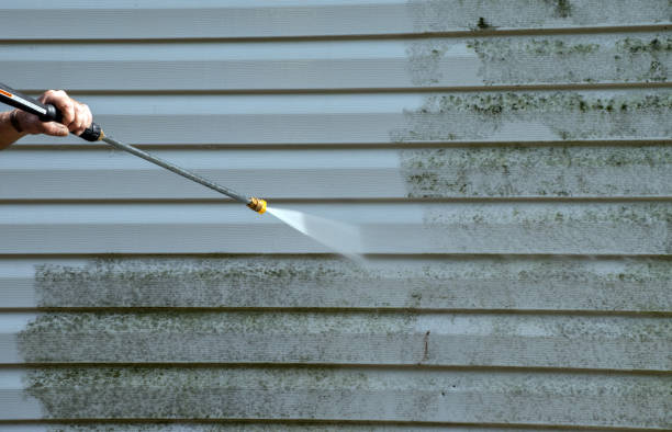 Best Gutter Cleaning  in Elgin, MN
